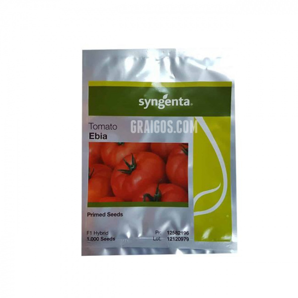 EBIA Syngenta Tomato | 1.000 seeds