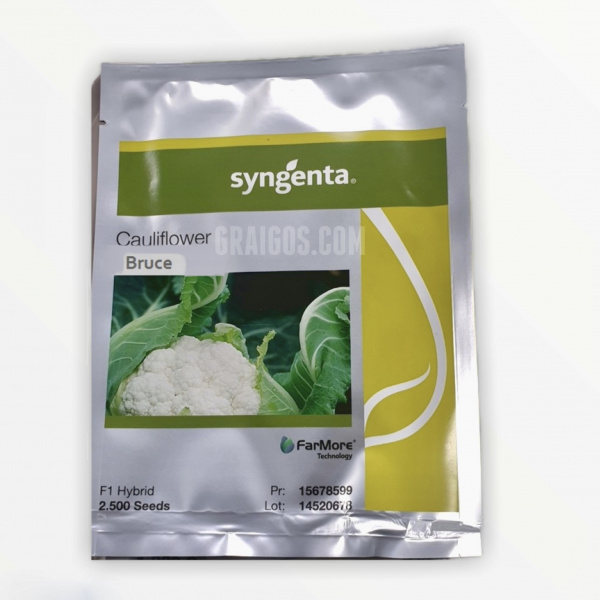 BRUCE Syngenta Cauliflower | 2.500 seeds