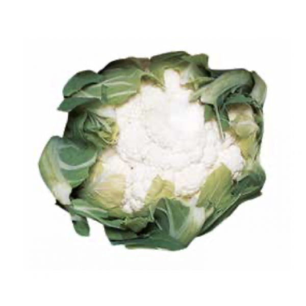 CARTIER Syngenta Cauliflower | 2.500 seeds