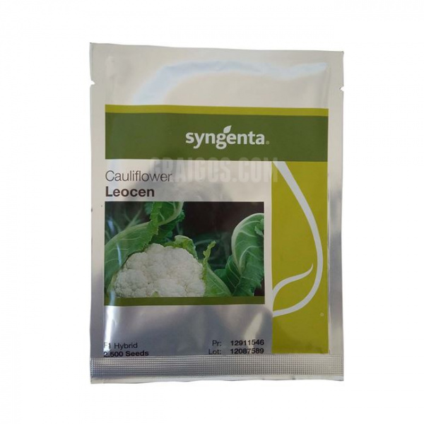 LEOCEN Syngenta Cauliflower | 2.500 seeds