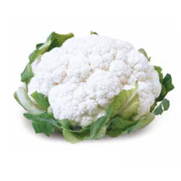 CHARIF Syngenta Cauliflower | 2.500 seeds