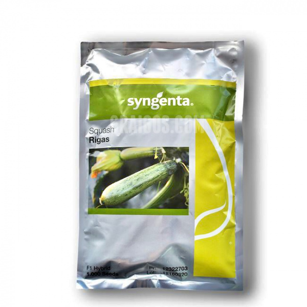 RIGAS Syngenta Zucchini | 1.000 seeds