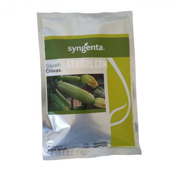 CHIVAS Syngenta Zucchini | 1.000 seeds