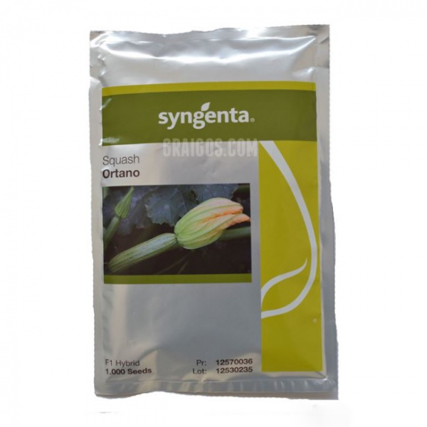 ORTANO Syngenta Zucchini | 1.000 seeds