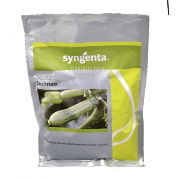 DOLMAS Syngenta Zucchini | 1.000 seeds