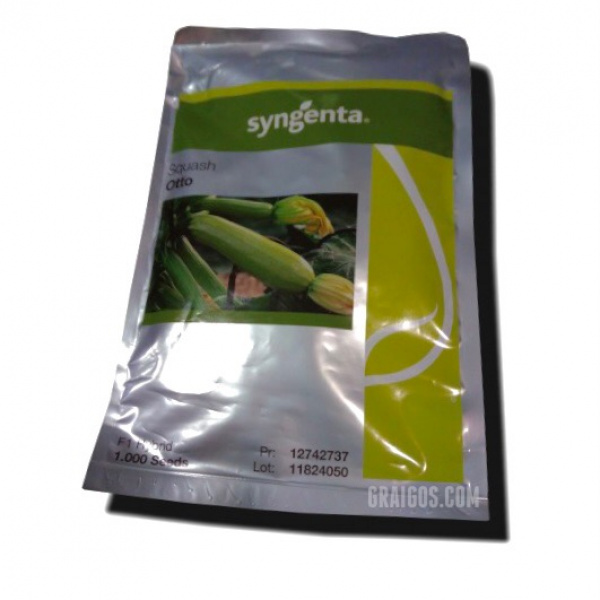 ΟΤΤΟ Syngenta Zucchini | 1.000 seeds