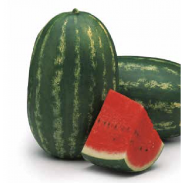 FARAO Syngenta Watermelon | 1.000 seeds
