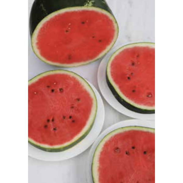 ARIADNE Syngenta Watermelon | 1.000 seeds