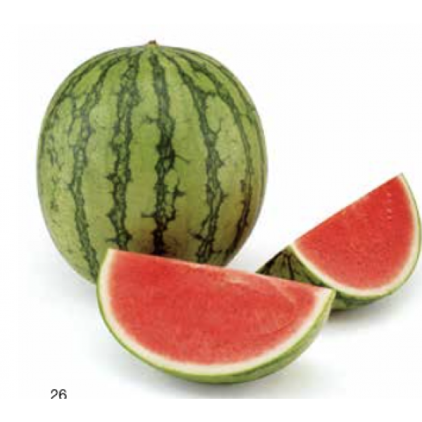 ΒΙΒΟ Syngenta Watermelon | 1.000 seeds