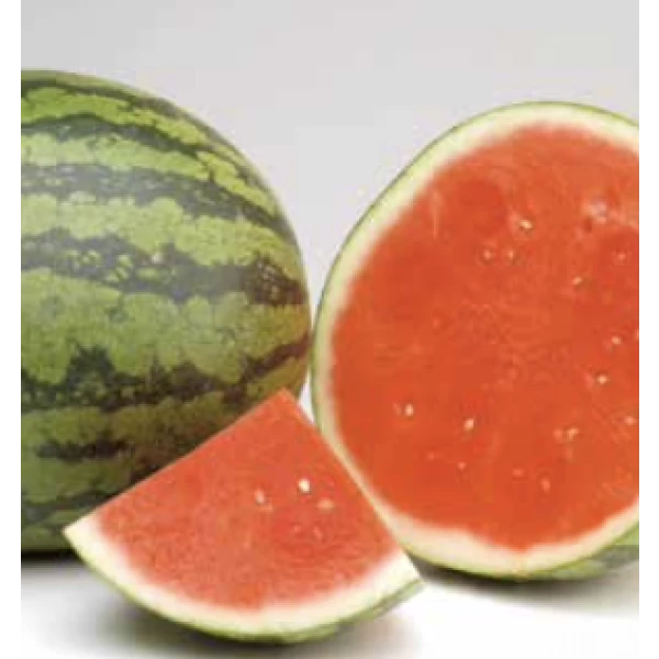 C-ZERO Syngenta Watermelon | 1.000 seeds