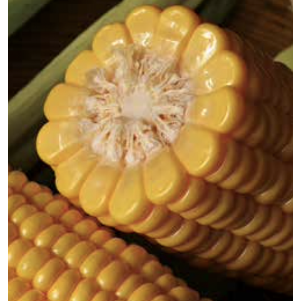 sweetstar-syngenta-sweet-corn-5-000-seeds