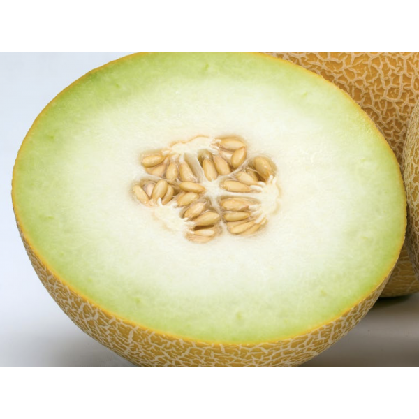 WALLER F1 Nunhems Melon | 1.000 seeds