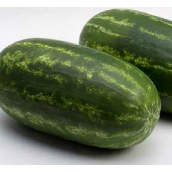 TORPILA Basf/Nunhems Watermelon | 1.000 seeds