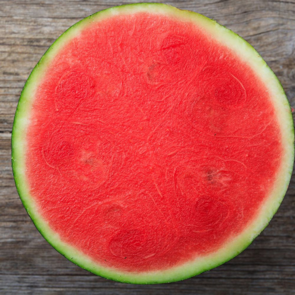DORIN Syngenta Watermelon | 1.000 seeds