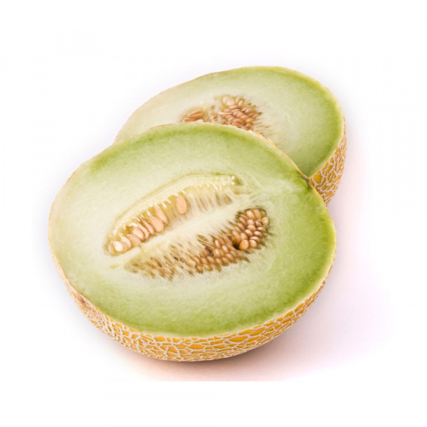GHARAM Syngenta Melon | 1.000 seeds