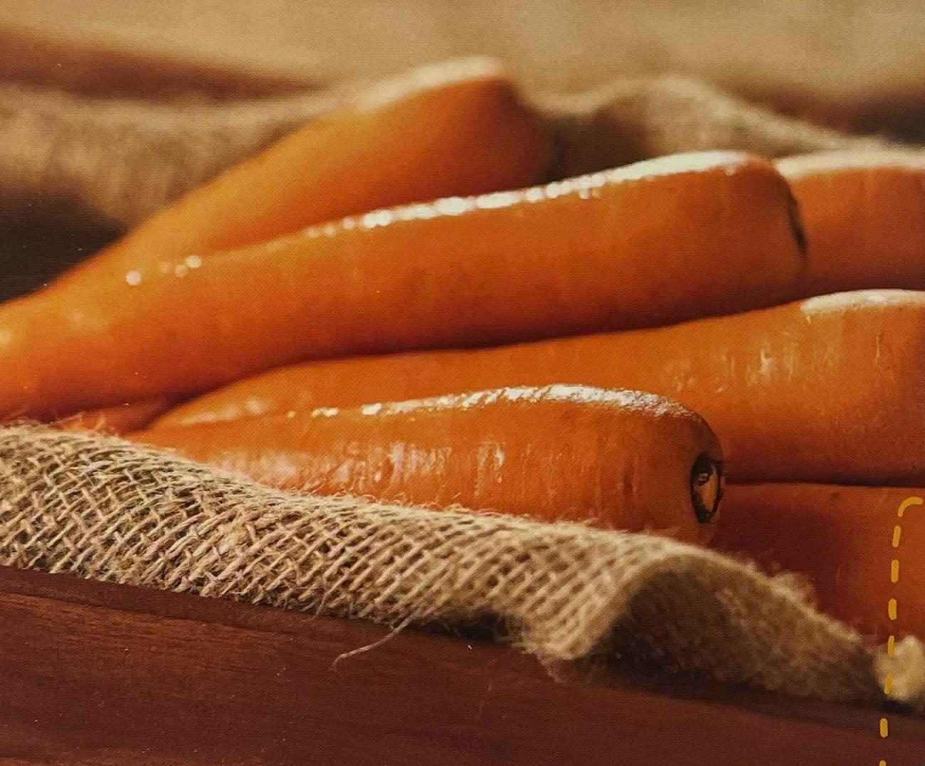 Carrot Dordogne