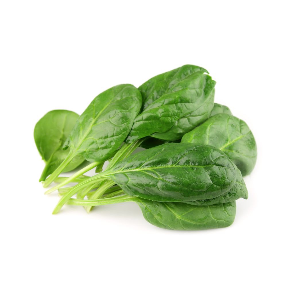 el-giga.jpeg EL GIGA Syngenta Σπανάκι | Σακ. 100.000 σπόροι - Image 1