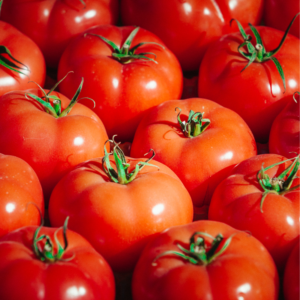 mamston-.png MAMSTON Syngenta Ντομάτα | 500 σπόροι - Image 1