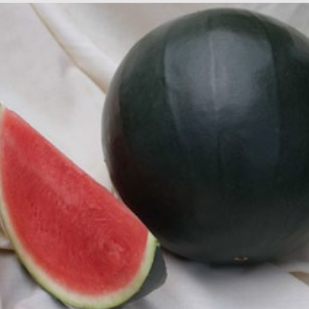 Ανώνυμο-σχέδιο-2.png VANESSA F1 Καρπούζι Nunhems | 1.000 σπόροι - Image 1