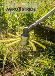 Vida Plevriki Action